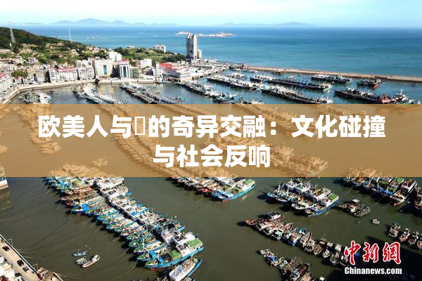 欧美人与嘼的奇异交融：文化碰撞与社会反响