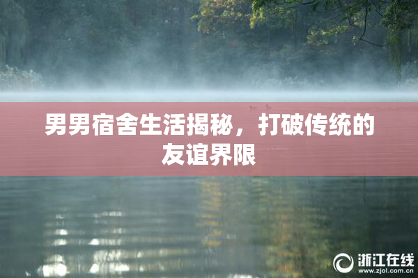 男男宿舍生活揭秘，打破传统的友谊界限