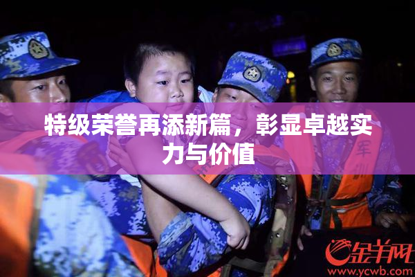 特级荣誉再添新篇，彰显卓越实力与价值