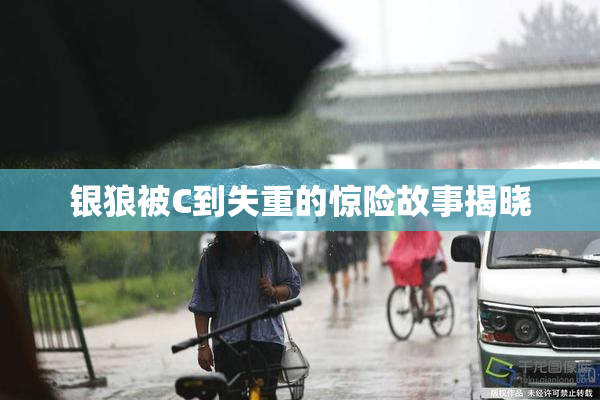 银狼被C到失重的惊险故事揭晓