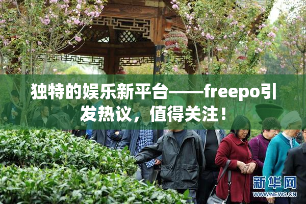 独特的娱乐新平台——freepo引发热议，值得关注！