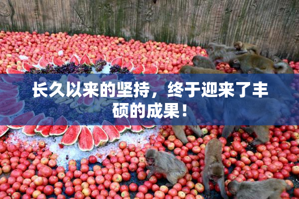 长久以来的坚持，终于迎来了丰硕的成果！