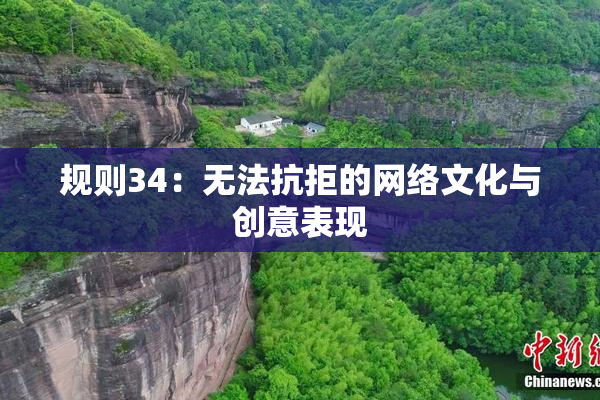 规则34：无法抗拒的网络文化与创意表现