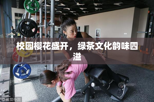 校园樱花盛开，绿茶文化韵味四溢