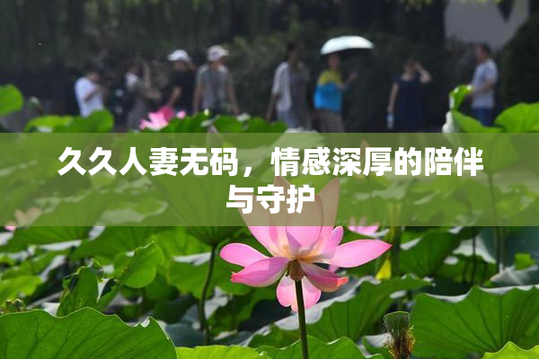 久久人妻无码，情感深厚的陪伴与守护