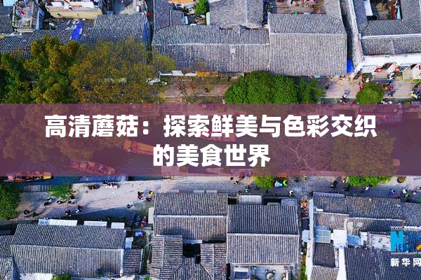 高清蘑菇：探索鲜美与色彩交织的美食世界