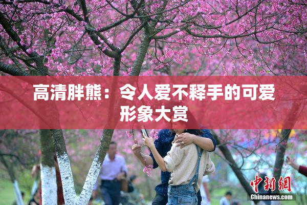 高清胖熊：令人爱不释手的可爱形象大赏