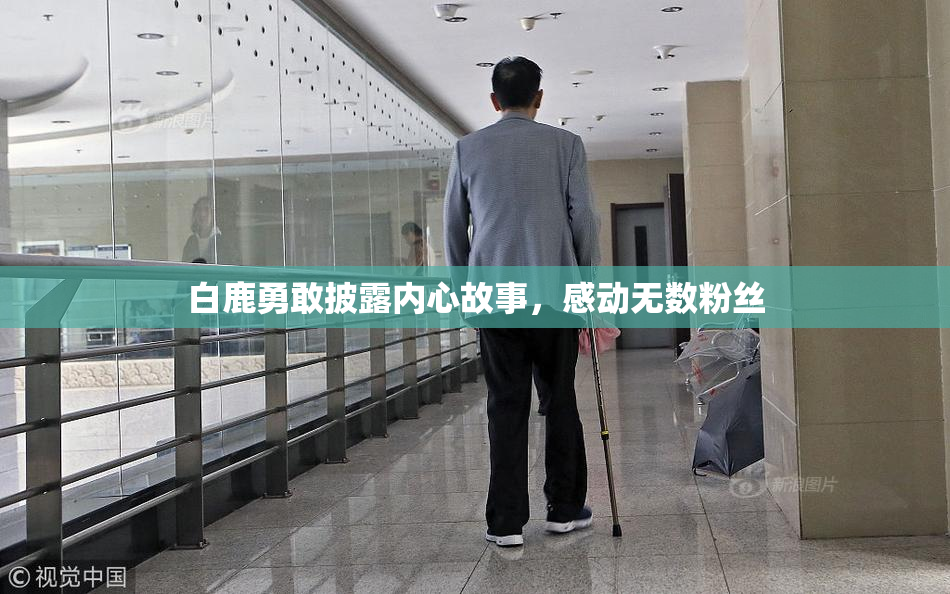 白鹿勇敢披露内心故事，感动无数粉丝