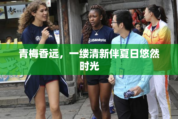 青梅香远，一缕清新伴夏日悠然时光