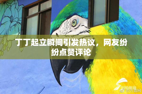 丁丁起立瞬间引发热议，网友纷纷点赞评论