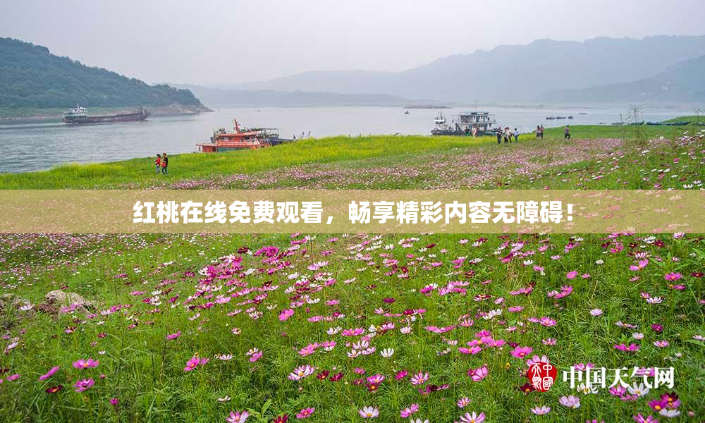 红桃在线免费观看，畅享精彩内容无障碍！
