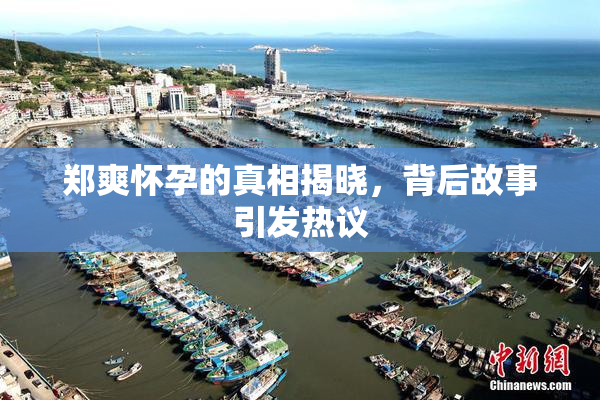 郑爽怀孕的真相揭晓，背后故事引发热议