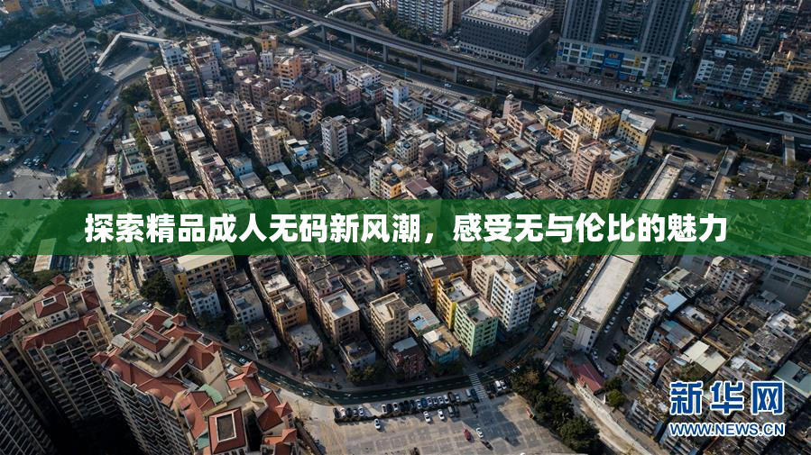 探索精品成人无码新风潮，感受无与伦比的魅力