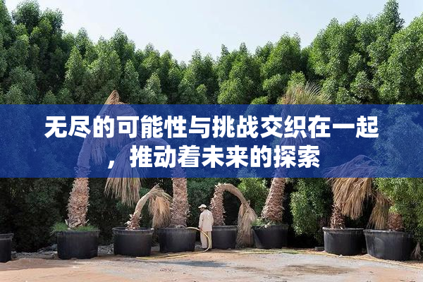 无尽的可能性与挑战交织在一起，推动着未来的探索