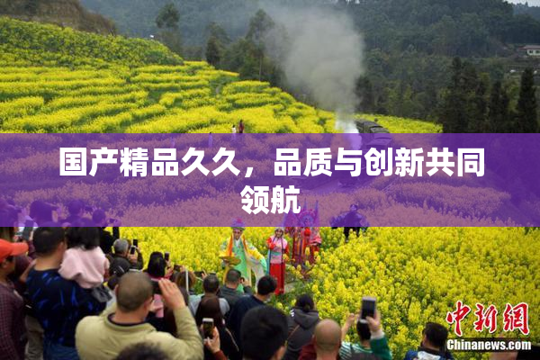 国产精品久久，品质与创新共同领航