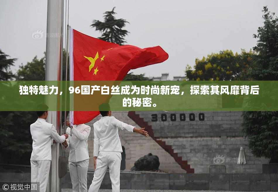 独特魅力，96国产白丝成为时尚新宠，探索其风靡背后的秘密。