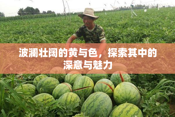波澜壮阔的黄与色，探索其中的深意与魅力