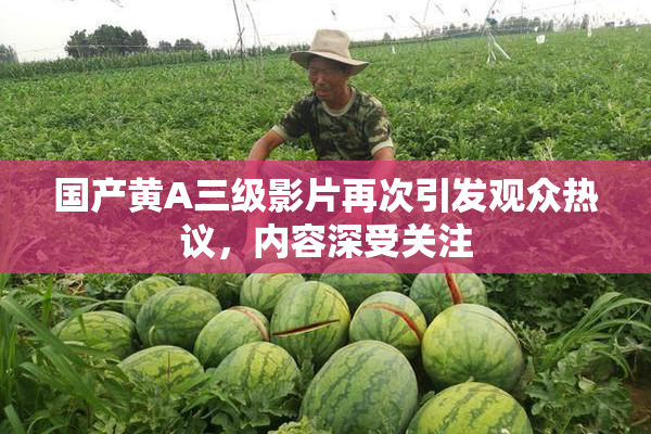 国产黄A三级影片再次引发观众热议，内容深受关注