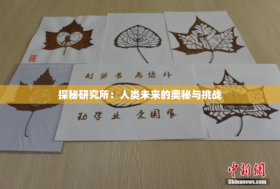 探秘研究所：人类未来的奥秘与挑战