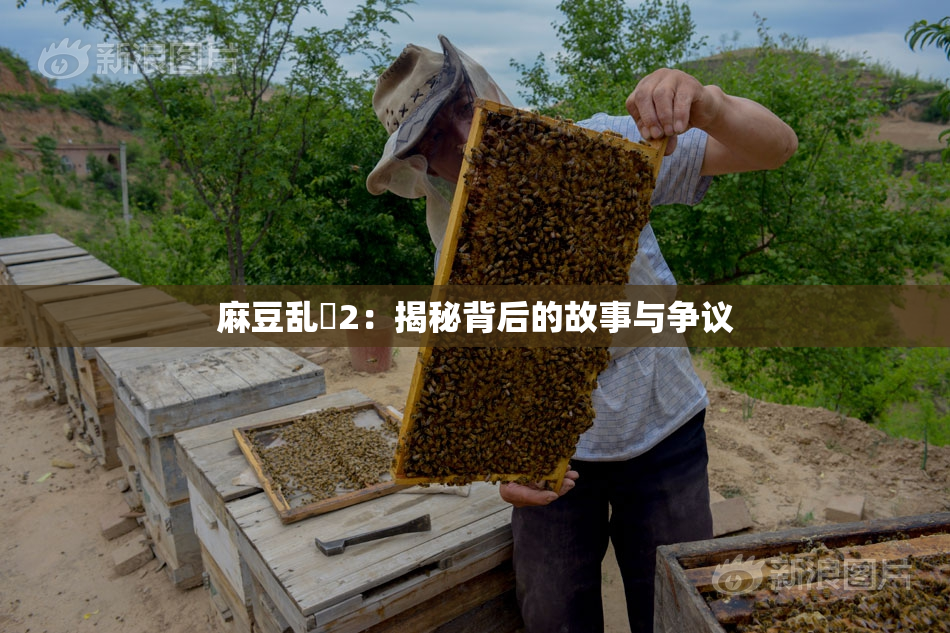 麻豆乱婬2：揭秘背后的故事与争议
