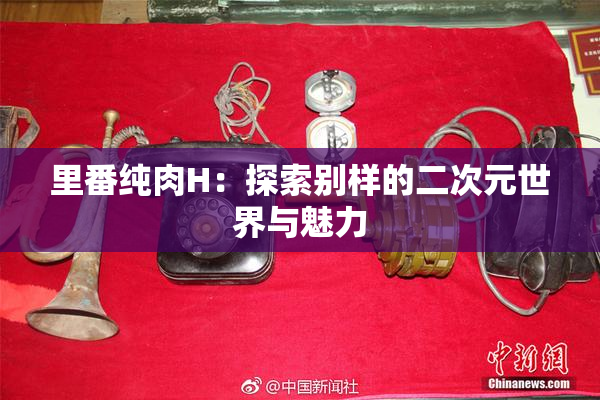 里番纯肉H：探索别样的二次元世界与魅力
