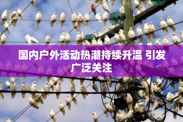 国内户外活动热潮持续升温 引发广泛关注