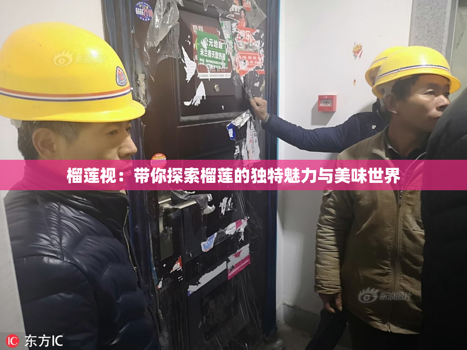 榴莲视：带你探索榴莲的独特魅力与美味世界