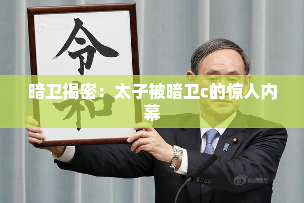 暗卫揭密：太子被暗卫c的惊人内幕