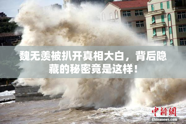 魏无羡被扒开真相大白，背后隐藏的秘密竟是这样！