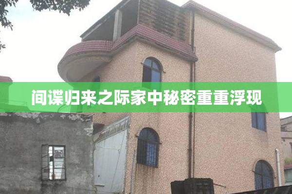 间谍归来之际家中秘密重重浮现