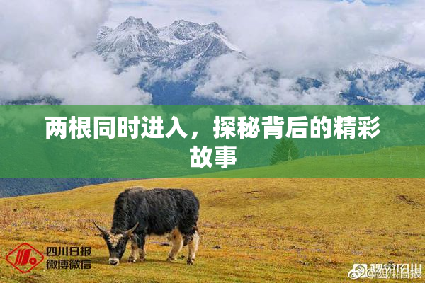 两根同时进入，探秘背后的精彩故事