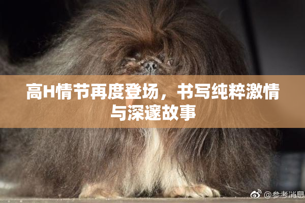 高H情节再度登场，书写纯粹激情与深邃故事