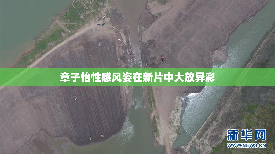 章子怡性感风姿在新片中大放异彩