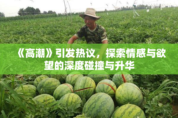 《高潮》引发热议，探索情感与欲望的深度碰撞与升华