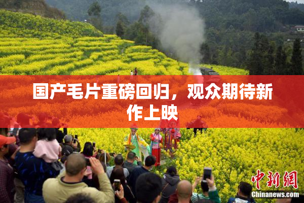 国产毛片重磅回归，观众期待新作上映
