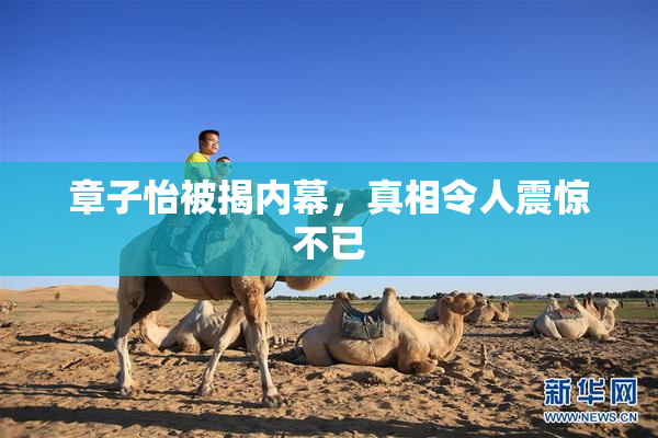 章子怡被揭内幕，真相令人震惊不已