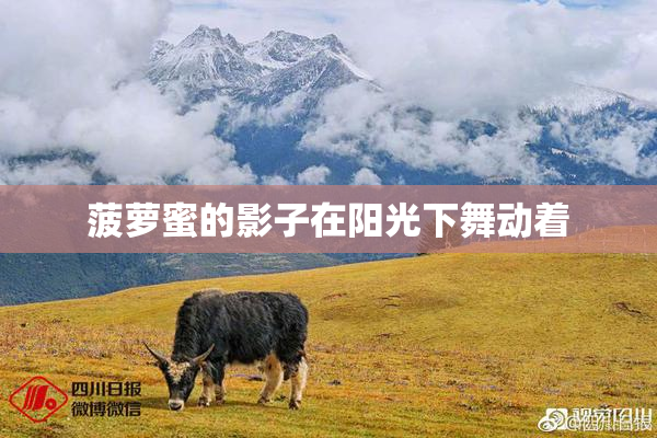 菠萝蜜的影子在阳光下舞动着