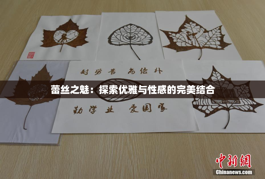 蕾丝之魅：探索优雅与性感的完美结合