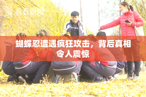 蝴蝶忍遭遇疯狂攻击，背后真相令人震惊
