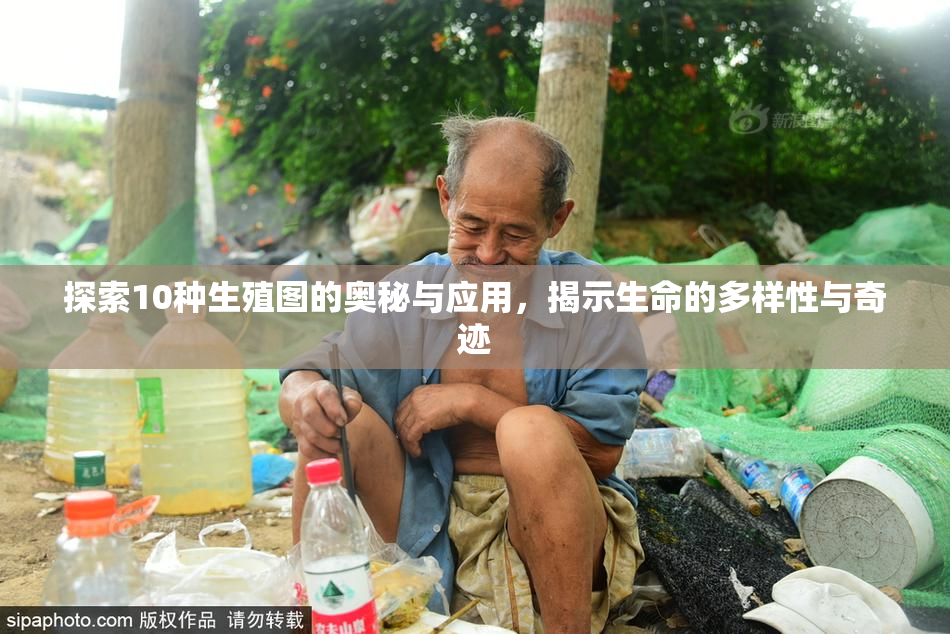探索10种生殖图的奥秘与应用，揭示生命的多样性与奇迹