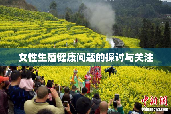 女性生殖健康问题的探讨与关注