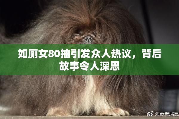 如厕女80抽引发众人热议，背后故事令人深思