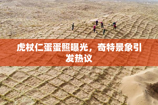 虎杖仁蛋蛋照曝光，奇特景象引发热议