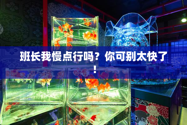 班长我慢点行吗？你可别太快了！