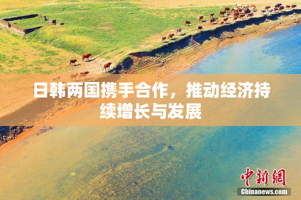 日韩两国携手合作，推动经济持续增长与发展