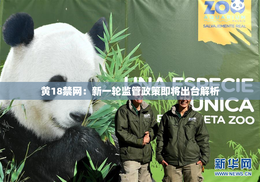 黄18禁网：新一轮监管政策即将出台解析