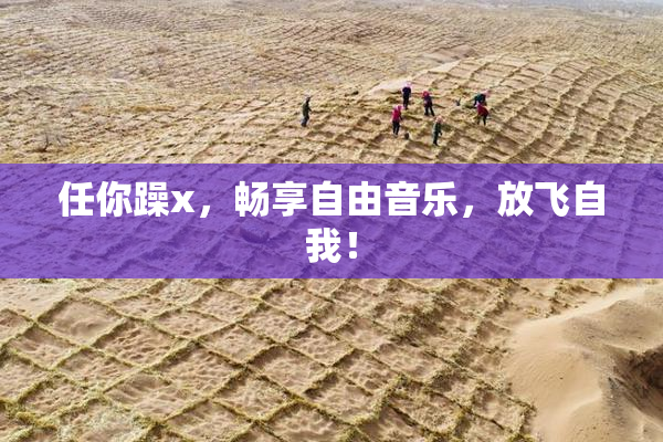 任你躁x，畅享自由音乐，放飞自我！
