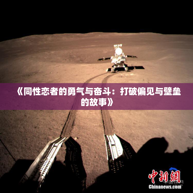 《同性恋者的勇气与奋斗：打破偏见与壁垒的故事》