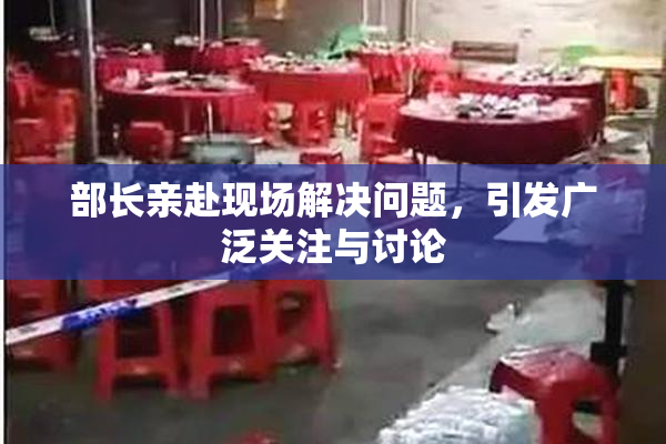 部长亲赴现场解决问题，引发广泛关注与讨论