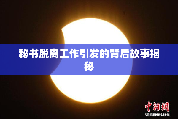 秘书脱离工作引发的背后故事揭秘